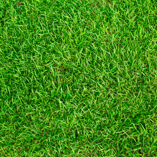 Natural & Synthetic Grasses